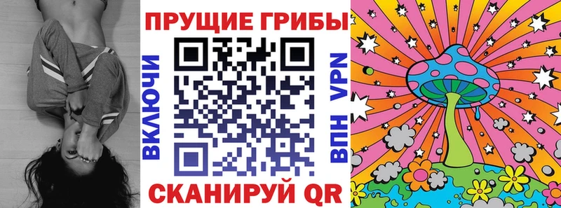 Псилоцибиновые грибы Magic Shrooms Верхняя Пышма