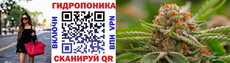 Шишки марихуана Bruce Banner  блэк спрут маркетплейс  Верхняя Пышма  дарнет шоп 